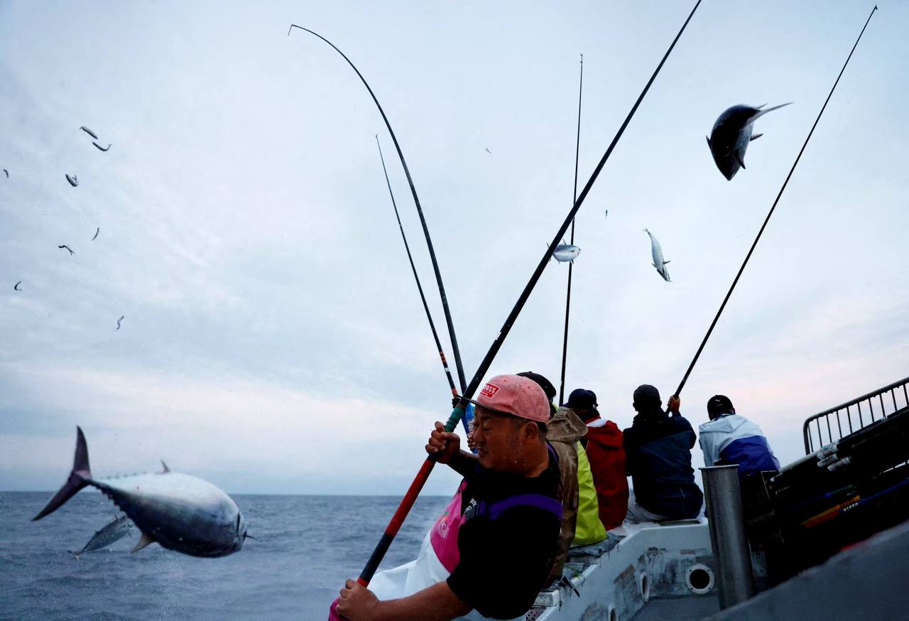 67 nations sign groundbreaking 'High Seas Treaty' for ocean protection 